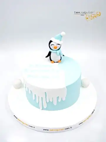 Penguen Detay Konsept Pasta